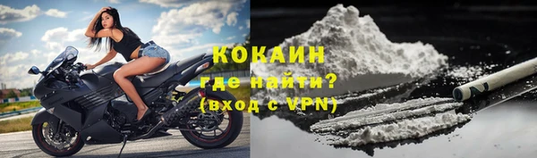 бошки Пересвет