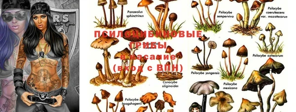 2c-b Абаза